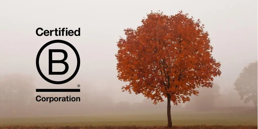 innovative audiobook app xigxag announces its B Corp certification