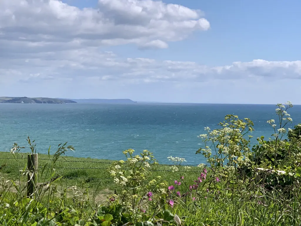 Looking out the mouth of the Helford to Falmouth Bay