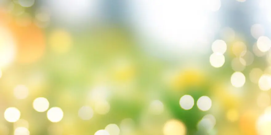 soft focus image of sunlight-dappled spring flower meadow