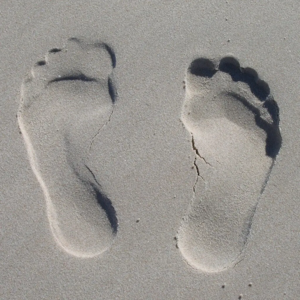 pristine footprints in fine wet sand on a beach