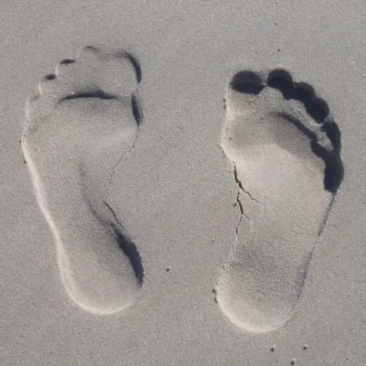 pristine footprints in fine wet sand on a beach