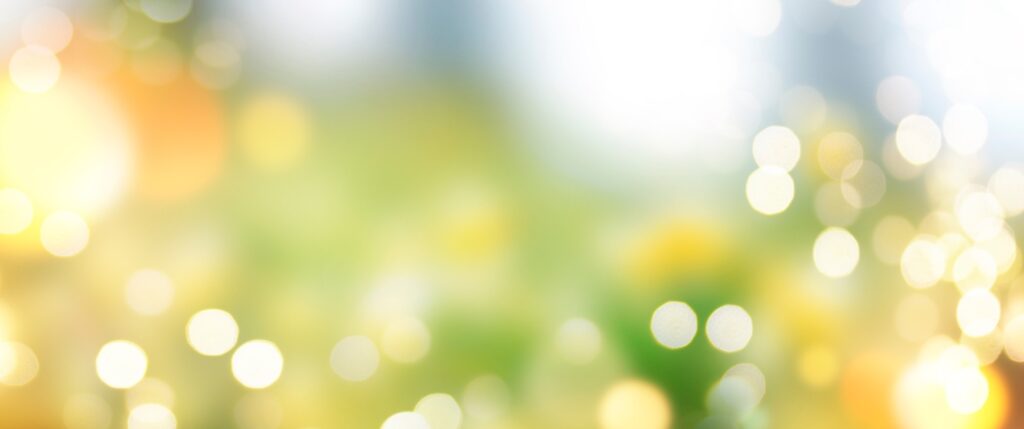 soft focus image of sunlight-dappled spring flower meadow