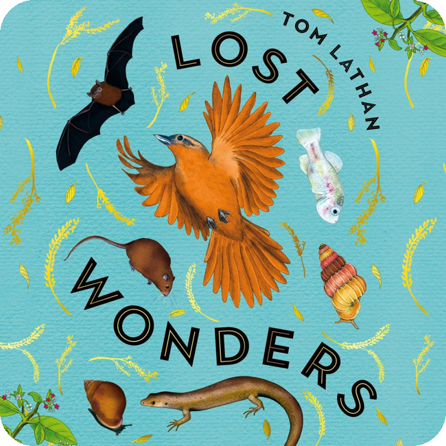 Lost Wonders